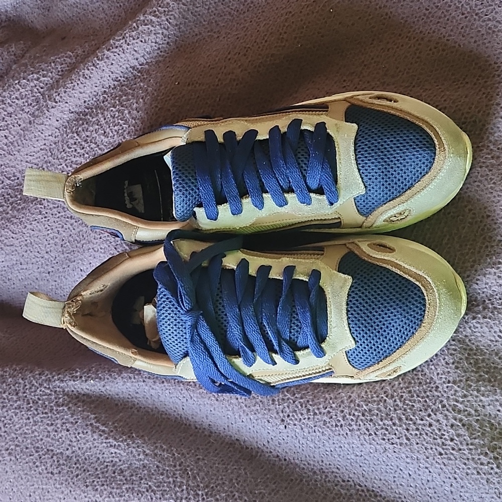 Asics Blue and White Sneakers